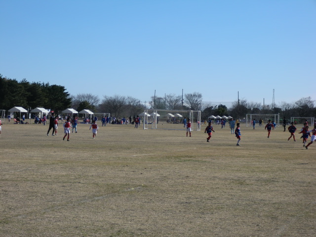 2011�R���{